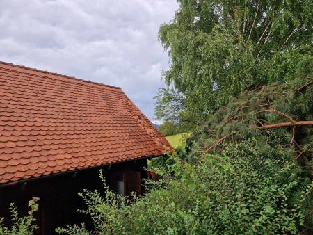 Posledice neurja z močnim vetrom